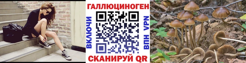сколько стоит  сайты даркнета наркотические препараты  Псилоцибиновые грибы Cubensis  Среднеколымск 